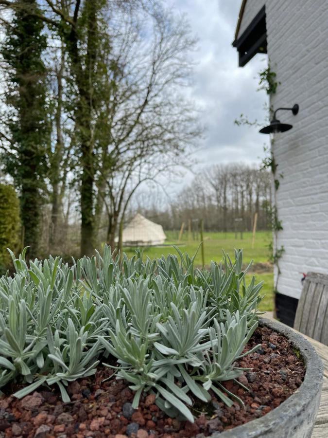 No Tempo Villa Knesselare Exteriör bild